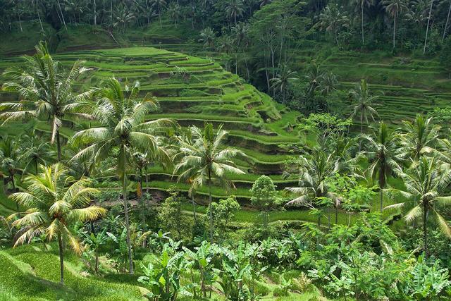 Bali travel destination