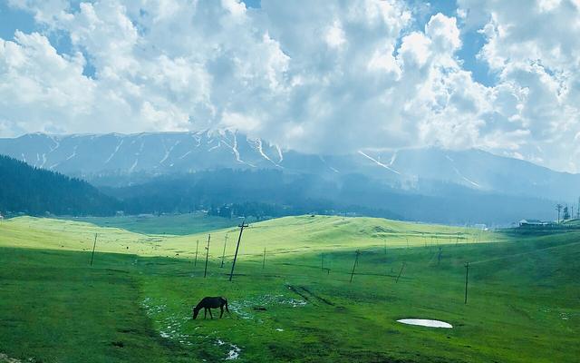 Kashmir Paradise Tour