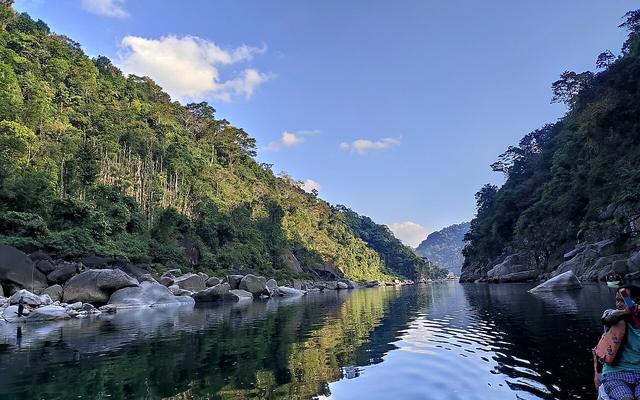 Meghalaya Living Root Bridges