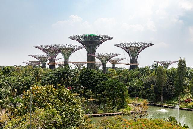 Singapore Family Fun